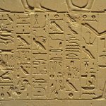 Bird-watching’s timeless appeal | Kitsap Birding