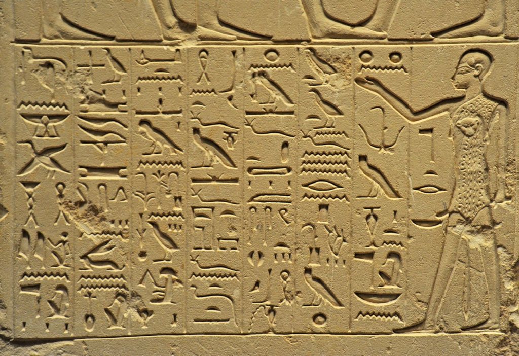 Bird-watching’s timeless appeal | Kitsap Birding