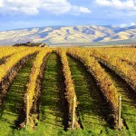 Pepper Bridge Winery in Walla Walla began in 1998. Founding winemaker Jean-François Pellet uses only estate fruit, which is sustainably farmed. (Abra Bennett/Great Northwest Wine)