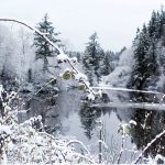 A wintry, snowy day in North Kitsap | Photos