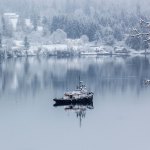 A tugboat rests in Liberty Bay, Feb. 6. (Sophie Bonomi / Kitsap Daily News)