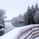 A wintry scene at Poulsbo&rsquo;s Fish Park, Feb. 6. (Sophie Bonomi / Kitsap Daily News)                                Poulsbo&rsquo;s Fish Park, Feb. 6. (Sophie Bonomi / Kitsap Daily News)