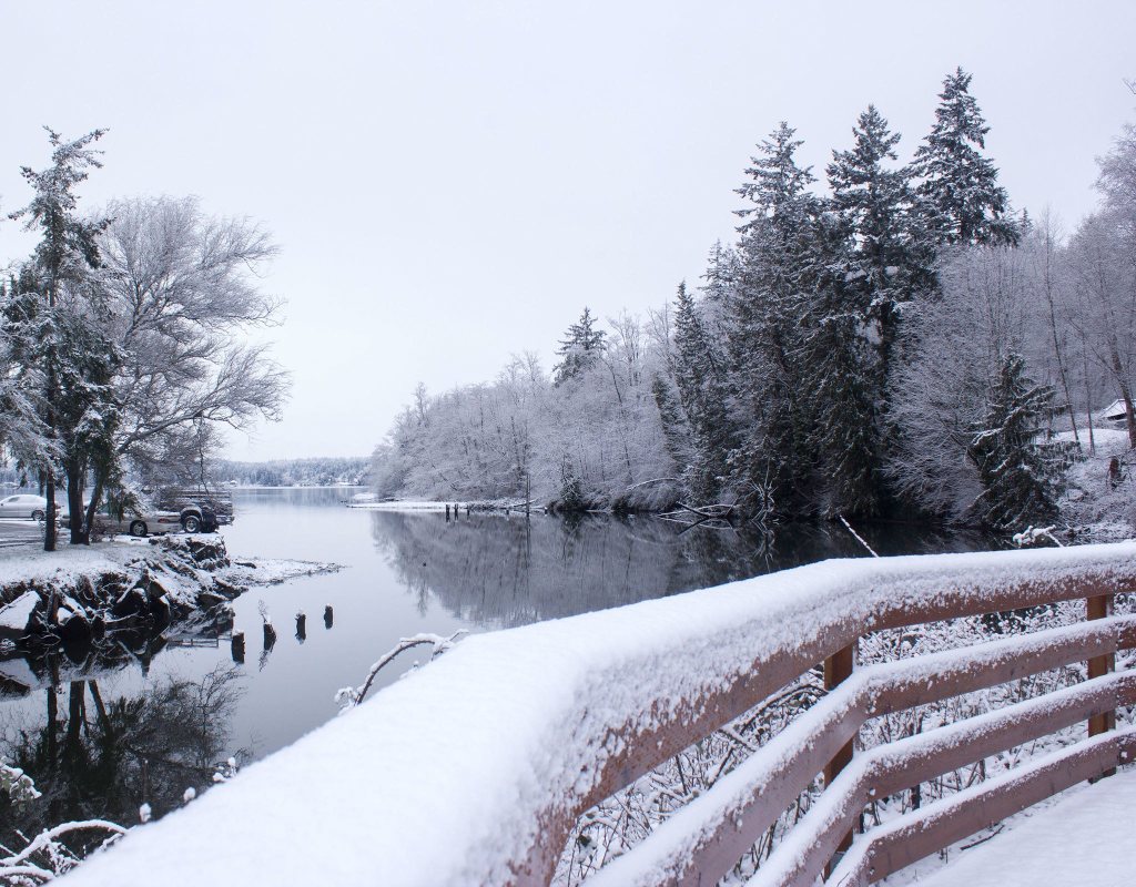 A wintry scene at Poulsbo&rsquo;s Fish Park, Feb. 6. (Sophie Bonomi / Kitsap Daily News)                                Poulsbo&rsquo;s Fish Park, Feb. 6. (Sophie Bonomi / Kitsap Daily News)