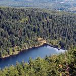 Union River Reservoir provides 60 percent of the drinking water for more than 50,000 customers of the City of Bremerton Water Utility.                                Courtesy of Kathleen Cahall / City of Bremerton