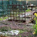 There are 68 plots rented out to the community in the Blueberry Park P-Patch community garden in Bremerton.                                Michelle Beahm / Kitsap News Group