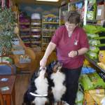 ‘Dogs love you no matter what’