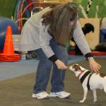 ‘She’s my ears’: The special bond between hearing dogs and their human partners