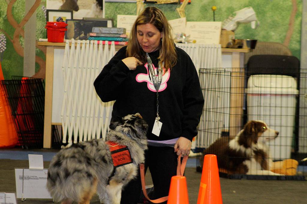 ‘She’s my ears’: The special bond between hearing dogs and their human partners