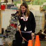 ‘She’s my ears’: The special bond between hearing dogs and their human partners
