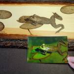 Artist April Shelton said it took over 300 hours to go from this photo of a frog on a lily pad to the to finished pyrographic art. Terryl Asla/Ktsap News Group