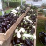 Farmers market season begins in Kitsap| Kitsap Weekly