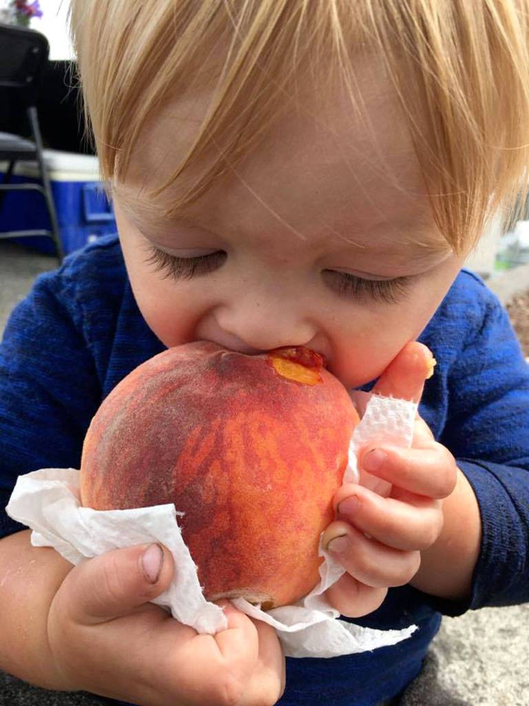 Farmers market season begins in Kitsap| Kitsap Weekly