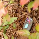 Rocks are placed in local parks for others to find.                                Michelle Beahm / Kitsap News Group file photo