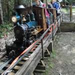 The Kitsap Steamers railroaders has its full array of rail cars in operation for rides during the Easter egg hunt at South Kitsap Regional Park April 15.                                Photo: Bob Smith | Kitsap Daily News