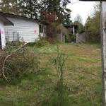 Port Orchard City Council reviews abatement code changes