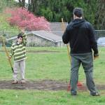 Laith Alagba-Green, 8, raises his hand to get the attention of a volunteer wheeling in a new load of topsoil. Laith and other Port Orchard volunteers spent the morning on April 29 filling in the playfield at Central Park. Photo: Bob Smith | Kitsap Daily News