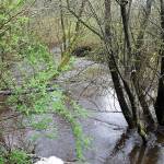 The City of Poulsbo is acquiring 2.68 acres at 20831 Bond Road NE for $1. The property was abandoned and Freddie Mac foreclosed on it. A flood-prone house near Dogfish Creek will be removed and the acreage added to Fish Park. Terryl Asla/Kitsap News Group