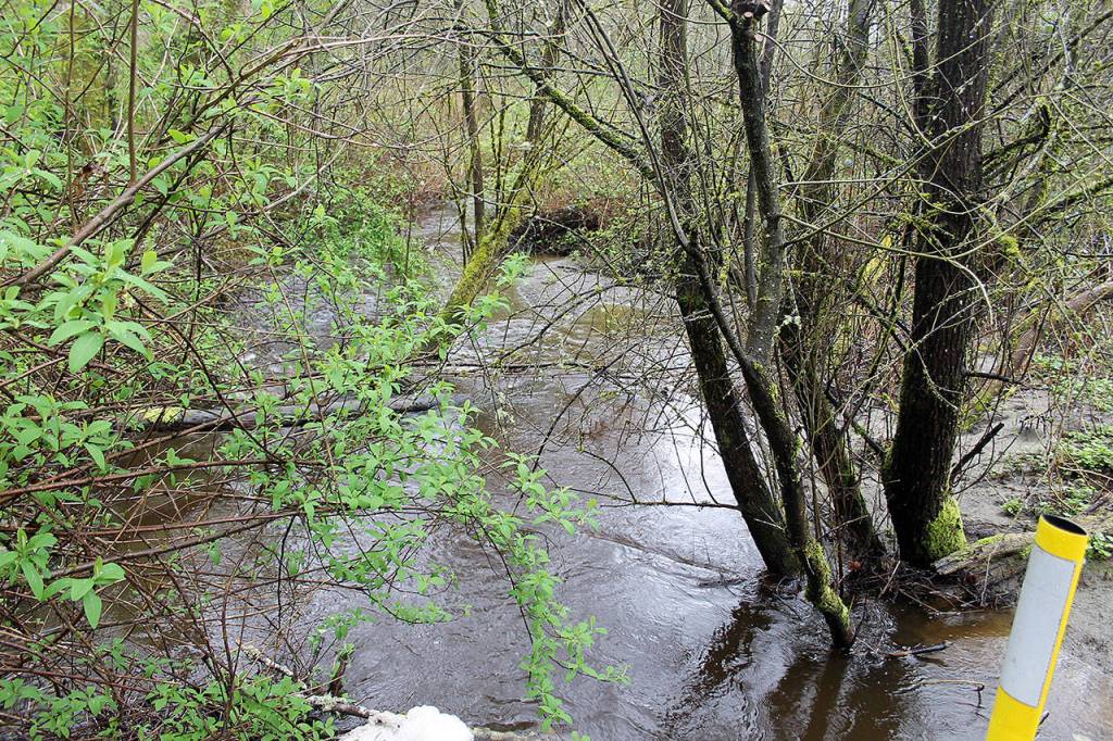 The City of Poulsbo is acquiring 2.68 acres at 20831 Bond Road NE for $1. The property was abandoned and Freddie Mac foreclosed on it. A flood-prone house near Dogfish Creek will be removed and the acreage added to Fish Park. Terryl Asla/Kitsap News Group
