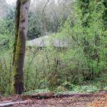 The City of Poulsbo is acquiring 2.68 acres at 20831 Bond Road NE for $1. The property was abandoned and Freddie Mac foreclosed on it. A flood-prone house near Dogfish Creek will be removed and the acreage added to Fish Park. Terryl Asla/Kitsap News Group