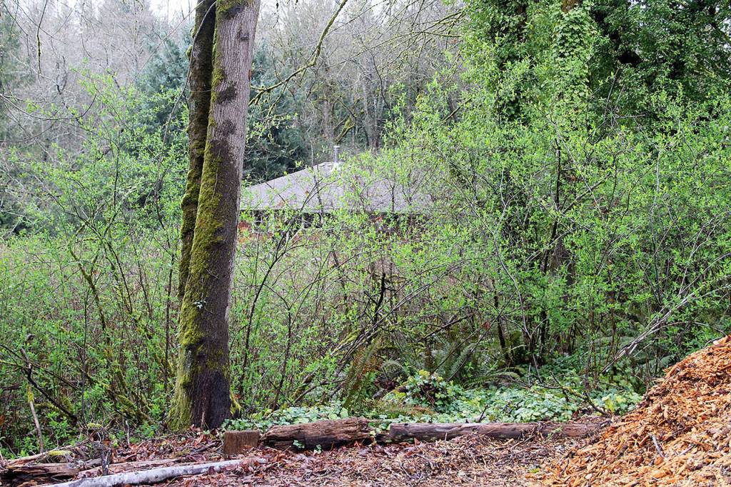 The City of Poulsbo is acquiring 2.68 acres at 20831 Bond Road NE for $1. The property was abandoned and Freddie Mac foreclosed on it. A flood-prone house near Dogfish Creek will be removed and the acreage added to Fish Park. Terryl Asla/Kitsap News Group