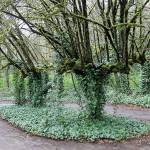 The circular drive at 20831 Bond Road NE. The City of Poulsbo is acquiring the 2.68 acres for $1. A flood-prone house near Dogfish Creek will be cleared and the acreage added to Fish Park. Terryl Asla/Kitsap News Group