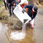 The salmon getting released.