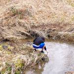 A student checking the water quality after the release of the salmon.