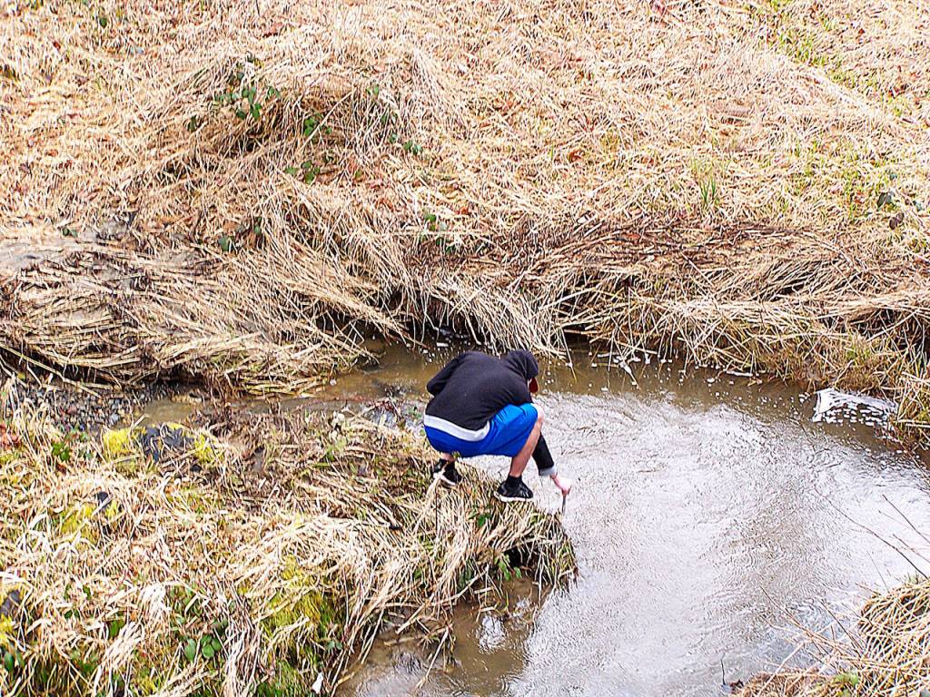 A student checking the water quality after the release of the salmon.