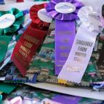 Ribbons from the Sandamar Farm Winter Series show, April 15. (Sophie Bonomi / Kitsap News Group)