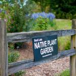 Nature’s wonders close to home | Hansville Happenings