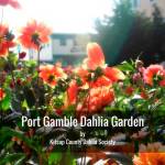 The fibers & fabrics festival comes to town, May 6 and 7 | Port Gamble Gazette