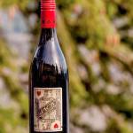 Cascadia Wine Competition helps identify region’s best