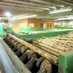 Trump comments fire up Kootenay lumber industry