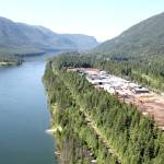 Trump comments fire up Kootenay lumber industry