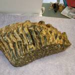 A Columbian mammoth molar estimated to be 19,000-20,000 years old sits on the desk of Sequim resident Lori Christie at her office at JACE Real Estate. She and Dean Flowers found the molar while walking along a public beach in Sequim. (Erin Hawkins/Olympic Peninsula News Group)