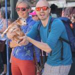 This dog seemed unimpressed.