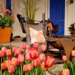 When furnishing your garden, unite it by employing similar colors, materials, and even same plant material. (Debbie Teashon / Contributed)