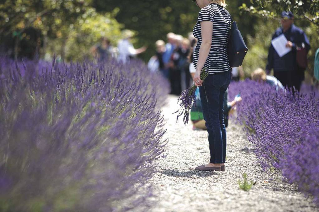 On Sunday, June 25, guests are encouraged to bring blankets to enjoy a picnic on the Kingston House lawn. (Tasha Vanasse / Contributed)
