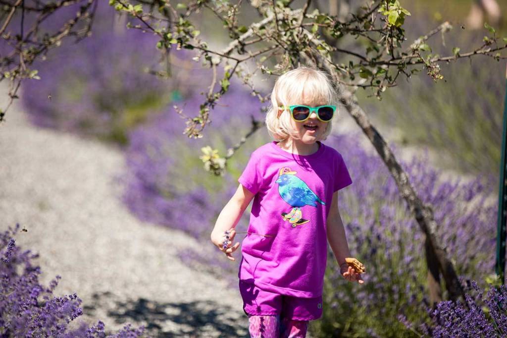 Admission on Saturday and Sunday is free, but RSVP is required. (Tasha Vanasse / Contributed)