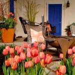 When furnishing your garden, unite it by employing similar colors, materials, and even same plant material. (Debbie Teashon / Contributed)