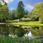 More than 600 people attended the inaugural Kingston Lavender Festival at Kingston House, a wedding and event venue in North Kitsap June 2016. (Tasha Vanasse / Contributed)