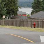 Workers begin grading and widening the narrow dirt trail between Arbutus Court and Willet Lane on 4th Avenue NE in preparation for laying down gravel. The two-block-long stretch was a &ldquo;glorified goat trail,&rdquo; according to Public Works Superintendent Mike Lund. Terryl Asla/Kitsap News Group