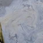 This is what a sheen from a diesel spill looks like. If you see one, always report it immediately. Don&rsquo;t assume authorities know about it. (Black Press)