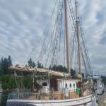 The name &ldquo;Mycia&rdquo; was inspired by his love of mushrooms, Capt. Maher said. He said he liked the name so much that when his first daughter was born, he used &ldquo;Mycia&rdquo; for her middle name.                                Terryl Asla|Kitsap News Group