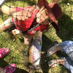 For the thrill of the catch