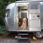 Ahh, it&rsquo;s a dog&rsquo;s life. This pup is traveling in style. (Kitsap Humane Society/Contributed)