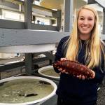 WCC Individual Placement member Jade Austin works with sea cucumbers at the Puget Sound Restoration Fund shellfish restoration hatchery in Port Orchard on a daily basis. Photo: Washington Conservation Corps