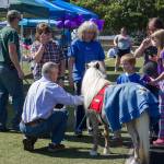 Relay For Life participants walk for a cure