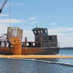 Rotary Duck Race always a big hit at Whaling Days Festival