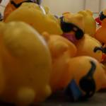 Rotary Duck Race always a big hit at Whaling Days Festival